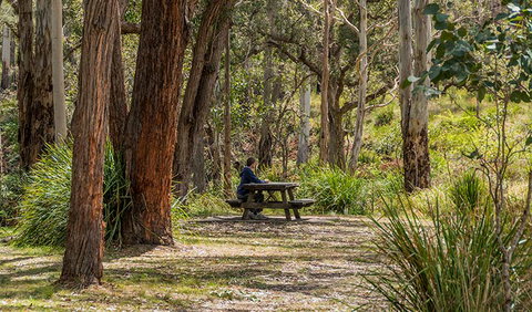 Koreelah Creek Campground - Whitsundays Accommodation 0