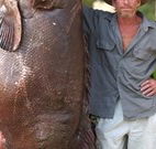 Michael's Clarence Valley Retreat - Whitsundays Accommodation