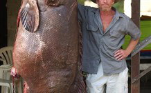 Michael's Clarence Valley Retreat - Whitsundays Accommodation 0