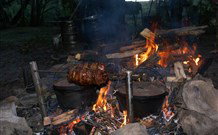 Michael's Clarence Valley Retreat - Whitsundays Accommodation 5