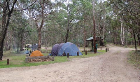 Native Dog Campground - Whitsundays Accommodation 0
