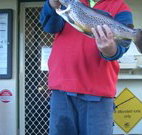 Rainbow Pines Tourist Caravan Park - Whitsundays Accommodation