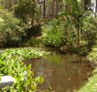 Tallowood Ridge B and B - Whitsundays Accommodation