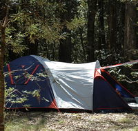 Thungutti campground - Whitsundays Accommodation
