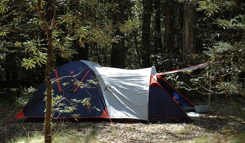 Thungutti Campground - Whitsundays Accommodation 0