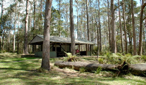 Thungutti Campground - Whitsundays Accommodation 1