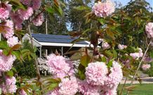 Tyrra Cottage Bed And Breakfast - Whitsundays Accommodation 2