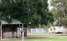 Warialda Rail NSW Whitsundays Accommodation