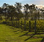H Boutique Hotel - Pokolbin - Whitsundays Accommodation