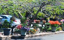 Milgate Motel - Casino - Whitsundays Accommodation 2