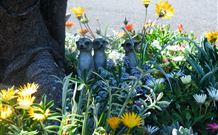 Milgate Motel - Casino - Whitsundays Accommodation 3