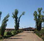 Newell Motor Inn - Narrandera - Whitsundays Accommodation