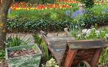 The Carrington Inn - Whitsundays Accommodation 0