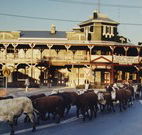 The Commercial Hotel Coonamble - Coonamble - Whitsundays Accommodation