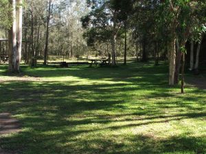 Jervis Bay Cabins And Hidden Creek Real Camping - Whitsundays Accommodation 6