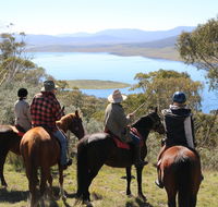 Reynella Homestead and Horseback Rides - Whitsundays Accommodation