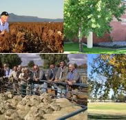 Southern Cross Motor Inn - Whitsundays Accommodation