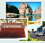 Red Gum Tourist Park - Whitsundays Accommodation