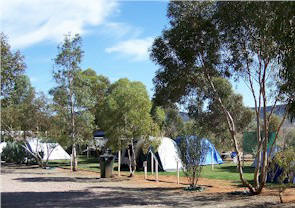 Flinders Ranges Caravan Park - Whitsundays Accommodation 2