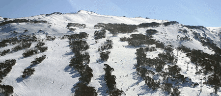 Thredbo Alpine Hotel - Whitsundays Accommodation