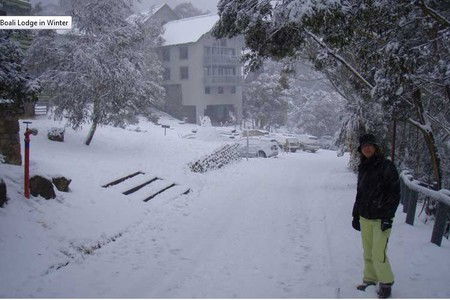 Boali Lodge - Whitsundays Accommodation 4