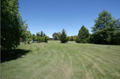 Alpha Motel - Whitsundays Accommodation 4