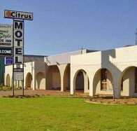 Citrus Motel - Whitsundays Accommodation