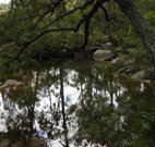 Hidden Valley Farm - Whitsundays Accommodation