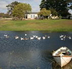 Old Redbank Farm Holiday - Whitsundays Accommodation