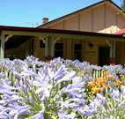 Red Hill Organics Farmstay - Whitsundays Accommodation