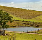 Sanctuary Hill Retreat - Whitsundays Accommodation