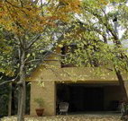 Rose Lindsay Cottage - Whitsundays Accommodation