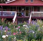 Rose Patch Bed and Breakfast - Whitsundays Accommodation