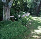 Tallawalla Retreat - Whitsundays Accommodation