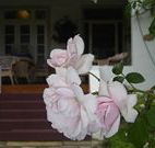 White House Heritage Guesthouse