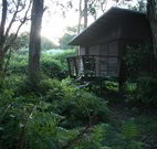 Mount Seaview Resort - Whitsundays Accommodation