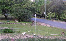Calurla Chalets And Cottages - Whitsundays Accommodation 2