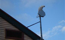 Hat Head Holiday House - Whitsundays Accommodation 6