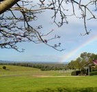 Pebble Bay Cottage - Whitsundays Accommodation