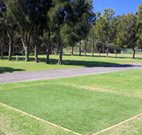 Spotted Gums on Hermitage - Whitsundays Accommodation