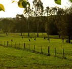 Stone Cottage Mittagong - Whitsundays Accommodation