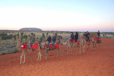 Ayers Rock - Outback Pioneer Lodge - Whitsundays Accommodation 1