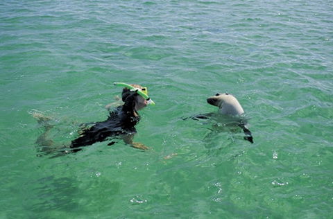Coodlie Park - Port Kenny - Venus Bay - Whitsundays Accommodation 3