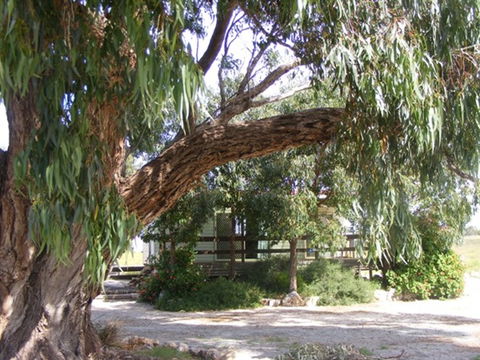 Coodlie Park - Port Kenny - Venus Bay - Whitsundays Accommodation 4