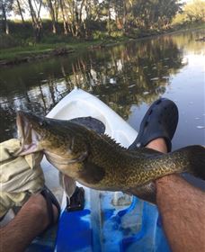 Maidenhead QLD Whitsundays Accommodation