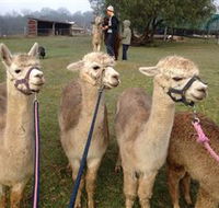 Bunyip Springs Farmstay - Whitsundays Accommodation