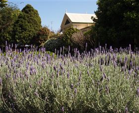 Vacy Hall Toowoomba's Grand Boutique Hotel Since 1873 - Whitsundays Accommodation 1