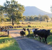 Tommerups Dairy Farmstay - Whitsundays Accommodation