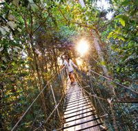 O'Reilly's Rainforest Retreat - Whitsundays Accommodation