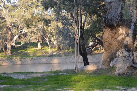 Beds In The Barwon - Whitsundays Accommodation 0